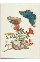 Carnet de notes et lectures - metamorphose des papillons