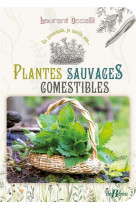 Plantes sauvages comestibles