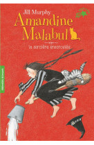 Amandine malabul, la sorciere ensorcelee