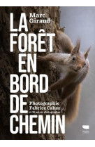 La forêt en bord de chemin