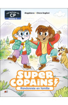 Super copains ! - t08 - randonnee en famille - niveau 3