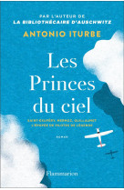 Les princes du ciel - saint-exupery, mermoz, guillaumet, l-epopee de pilotes de legende