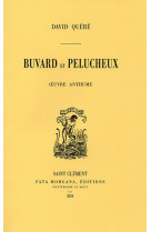 Buvard et pelucheux