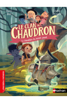 Le clan du chaudron : la chevalière des marais puants