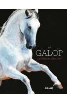 Au galop - les chevaux dans l'art