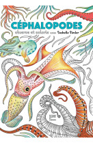 Céphalopodes