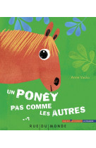 Un poney pas comme les autres