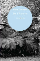 De l'aurore