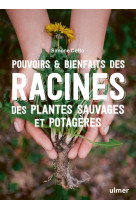 Pouvoirs & bienfaits des racines des plantes sauvages et potagères