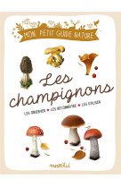 Les champignons - les reperer - les observer - les identifier