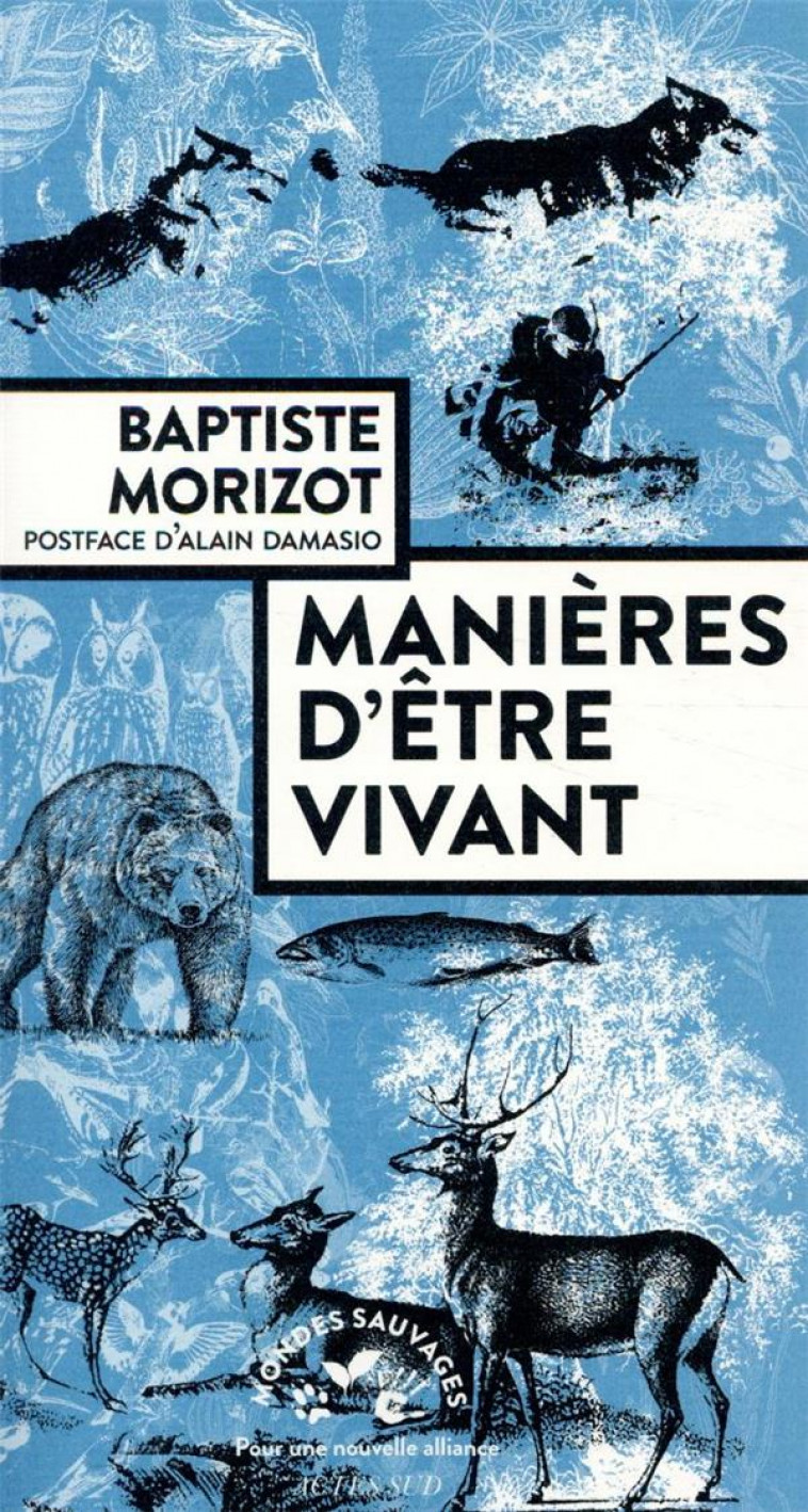 MANIERES D'ETRE VIVANT  -  ENQUETES SUR LA VIE A TRAVERS NOUS - MORIZOT/DAMASIO - ACTES SUD
