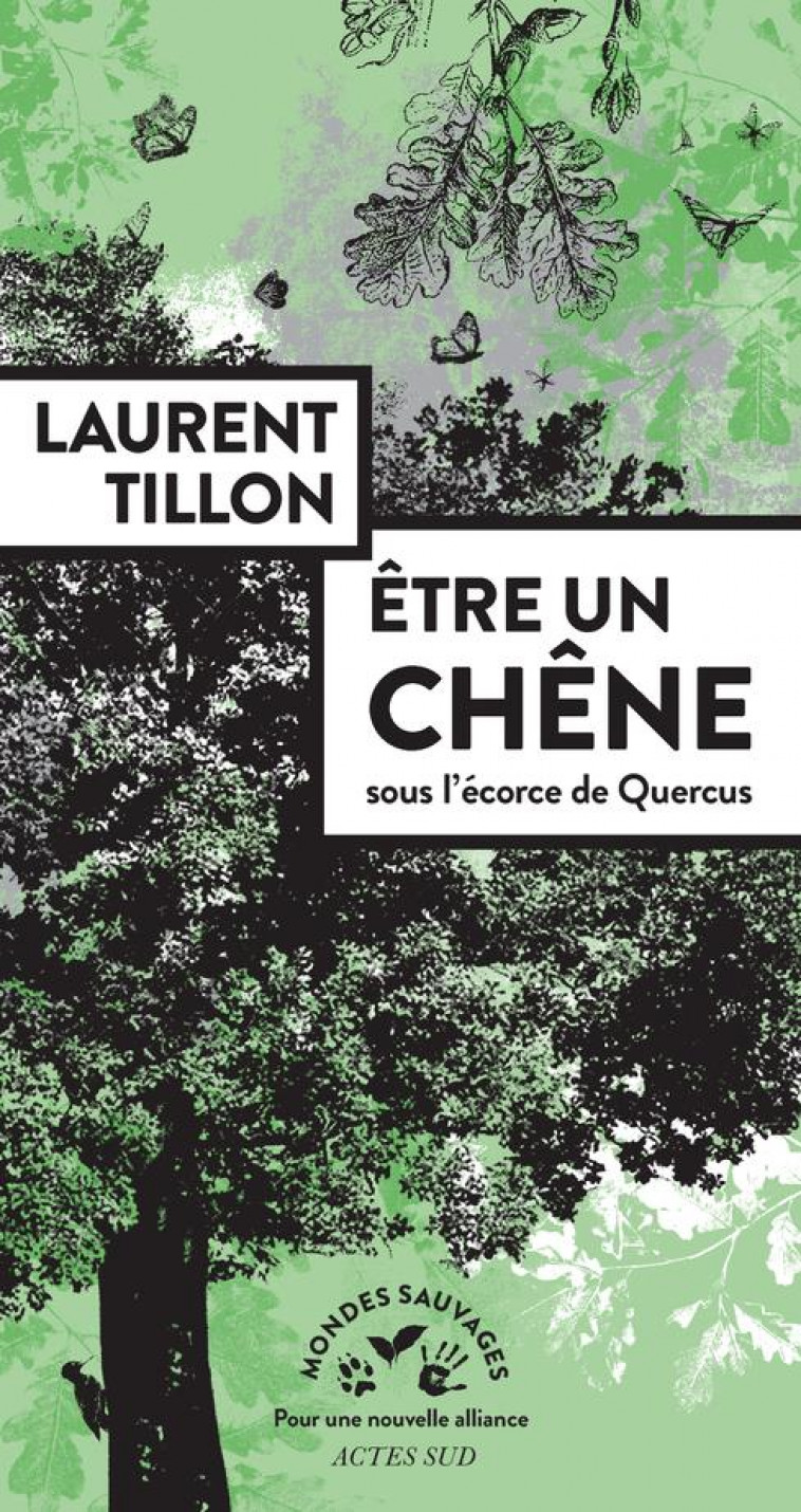 ETRE UN CHENE  -  SOUS L'ECORCE DE QUERCUS - TILLON LAURENT - ACTES SUD