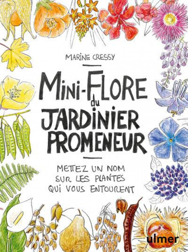 MINI-FLORE DU JARDINIER PROMENEUR  -  METTEZ UN NOM SUR LES PLANTES QUI VOUS ENTOURENT - CRESSY MARIE - ULMER