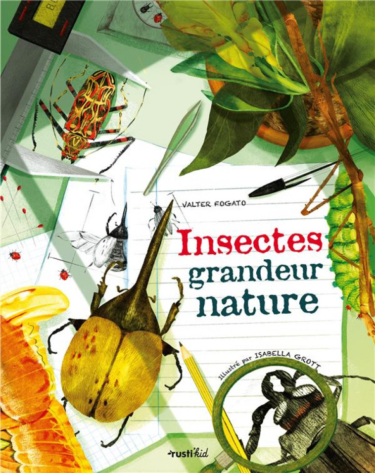 INSECTES GRANDEUR NATURE - FOGATO/GROTT - RUSTICA