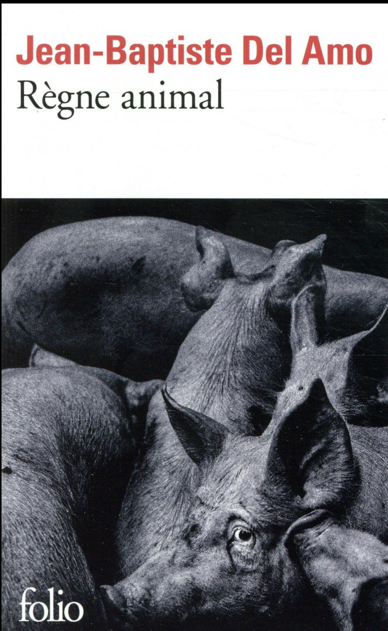 REGNE ANIMAL - DEL AMO J-B. - GALLIMARD