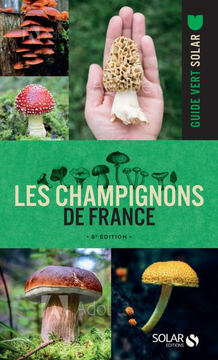 LES CHAMPIGNONS DE FRANCE (8E EDITION) - CHAUMETON HERVE - SOLAR