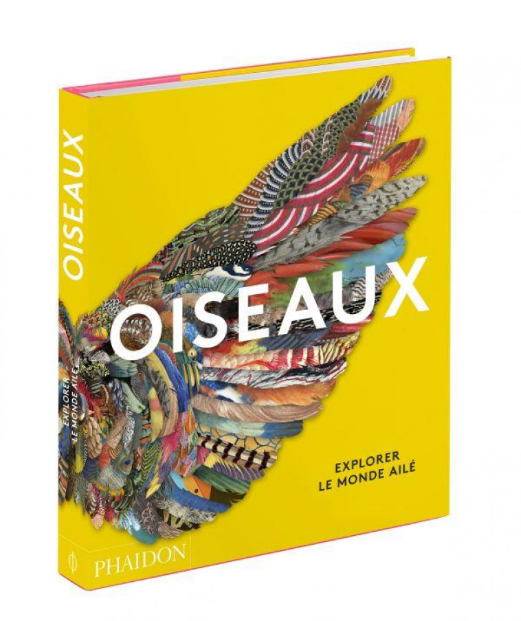 OISEAUX : EXPLORER LE MONDE AILE - PHAIDON - NC