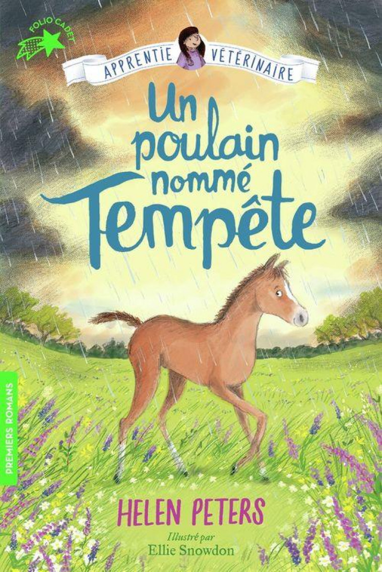 JASMINE, L'APPRENTIE VETERINAIRE - T09 - UN POULAIN NOMME TEMPETE - PETERS/SNOWDON - GALLIMARD