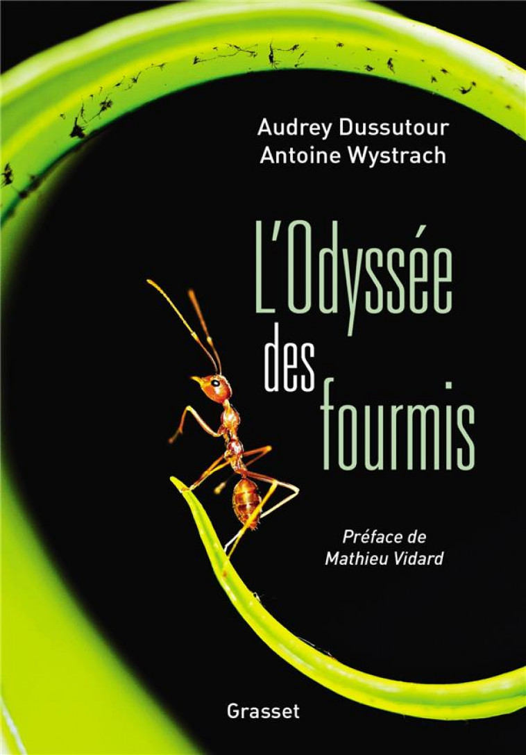 L'ODYSSEE DES FOURMIS - DUSSUTOUR/WYSTRACH - GRASSET