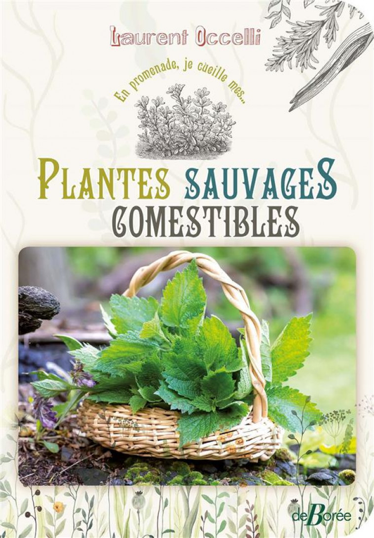 EN PROMENADE, JE CUEILLE MES... PLANTES SAUVAGES COMESTIBLES - OCCELLI LAURENT - DE BOREE