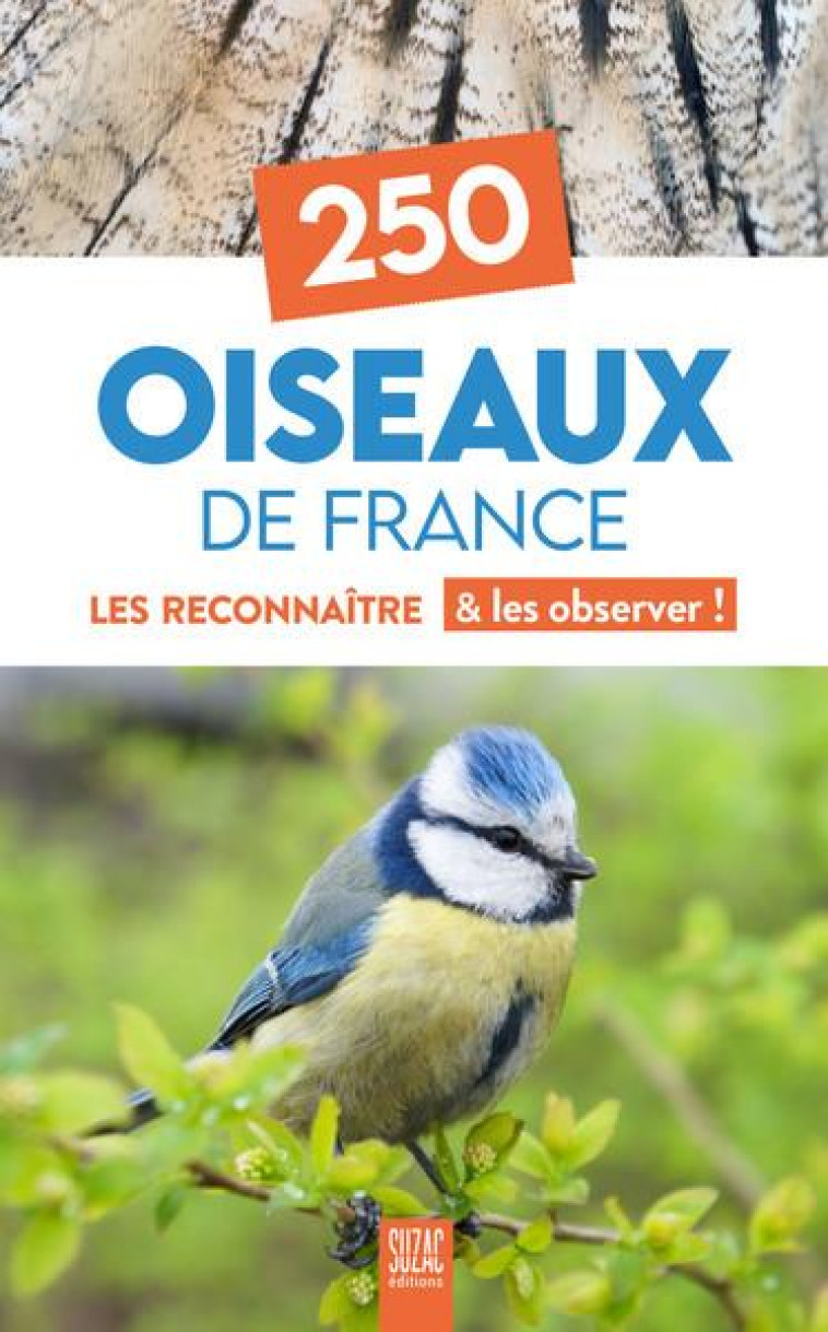 250 OISEAUX DE FRANCE : LES RECONNAITRE et LES OBSERVER ! - COLLECTIF - DU LUMIGNON