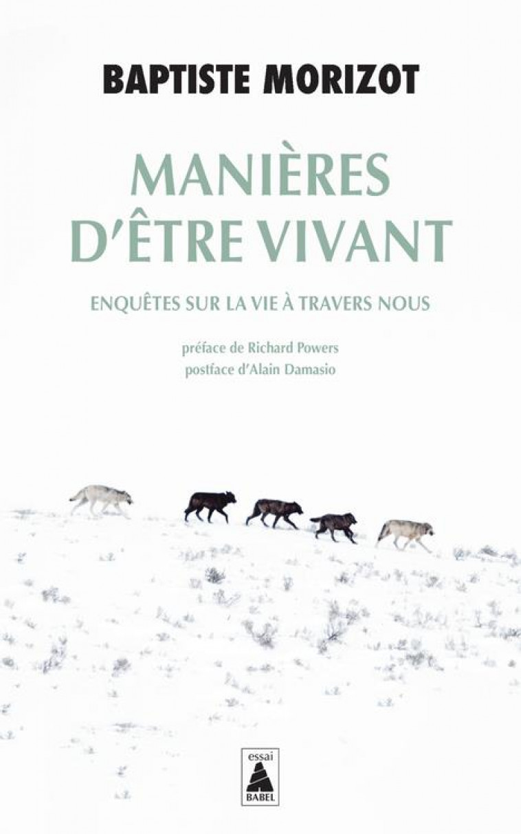 MANIERES D'ETRE VIVANT : ENQUETES SUR LA VIE A TRAVERS NOUS - MORIZOT/POWERS - ACTES SUD