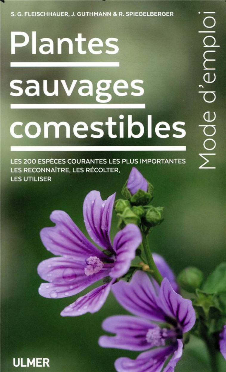 PLANTES SAUVAGES COMESTIBLES - FLEISCHHAUER - ULMER