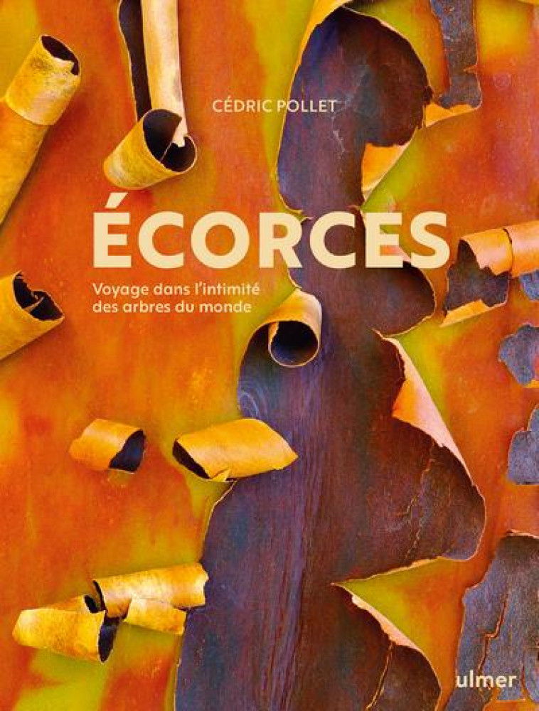 ECORCES : VOYAGE DANS L'INTIMITE DES ARBRES DU MONDE - POLLET CEDRIC - ULMER