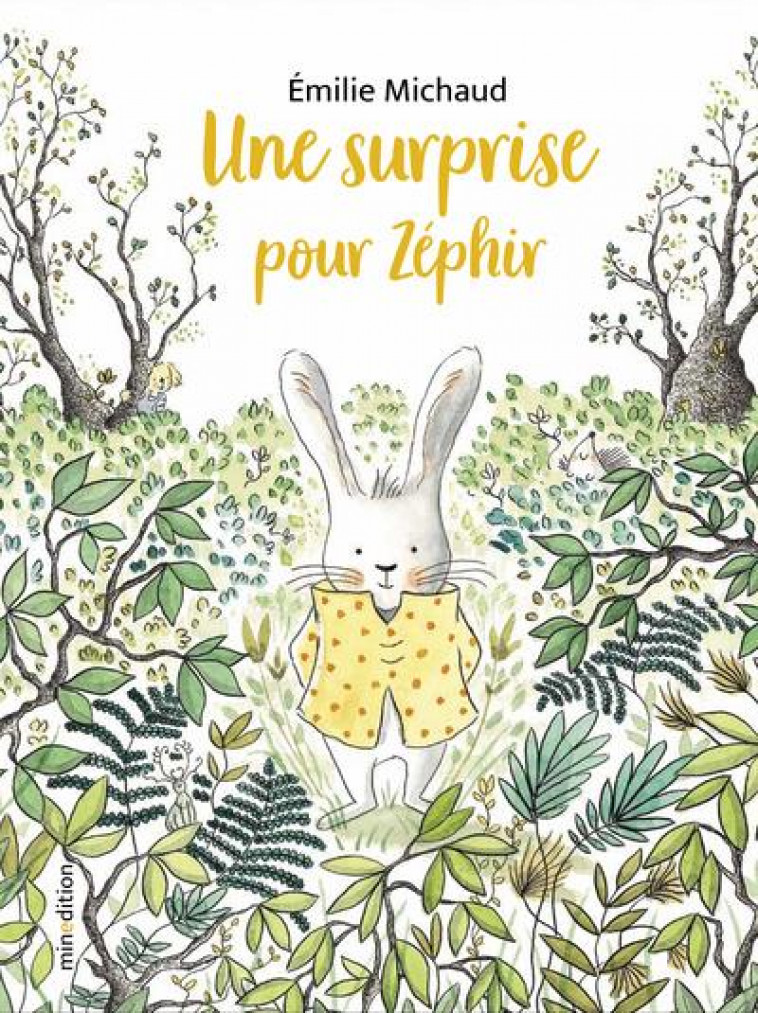 UNE SURPRISE POUR ZEPHIR - MICHAUD EMILIE - MINEDITION