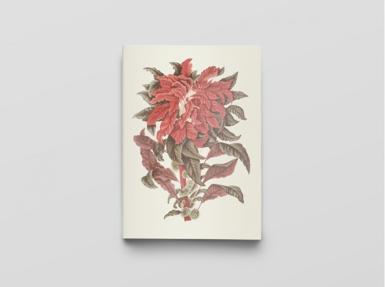 CARNET - FLEURS, FRUITS ET FEUILLAGES DE JAVA - NOTES ET LEC - Berthe HOOLA VAN NOOTEN - RELIEFS