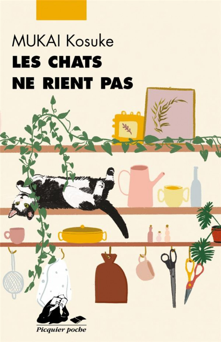 LES CHATS NE RIENT PAS - MUKAI KOSUKE - PICQUIER