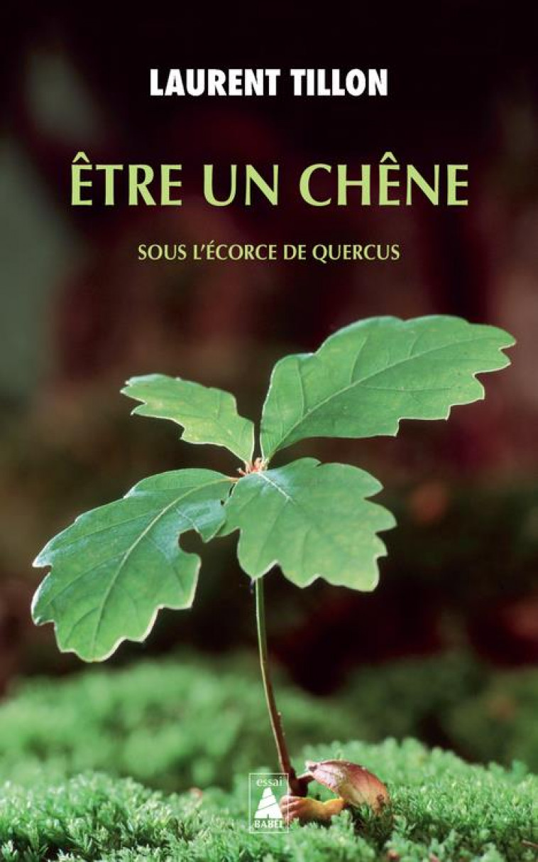 ETRE UN CHENE : SOUS L'ECORCE DE QUERCUS - TILLON LAURENT - ACTES SUD