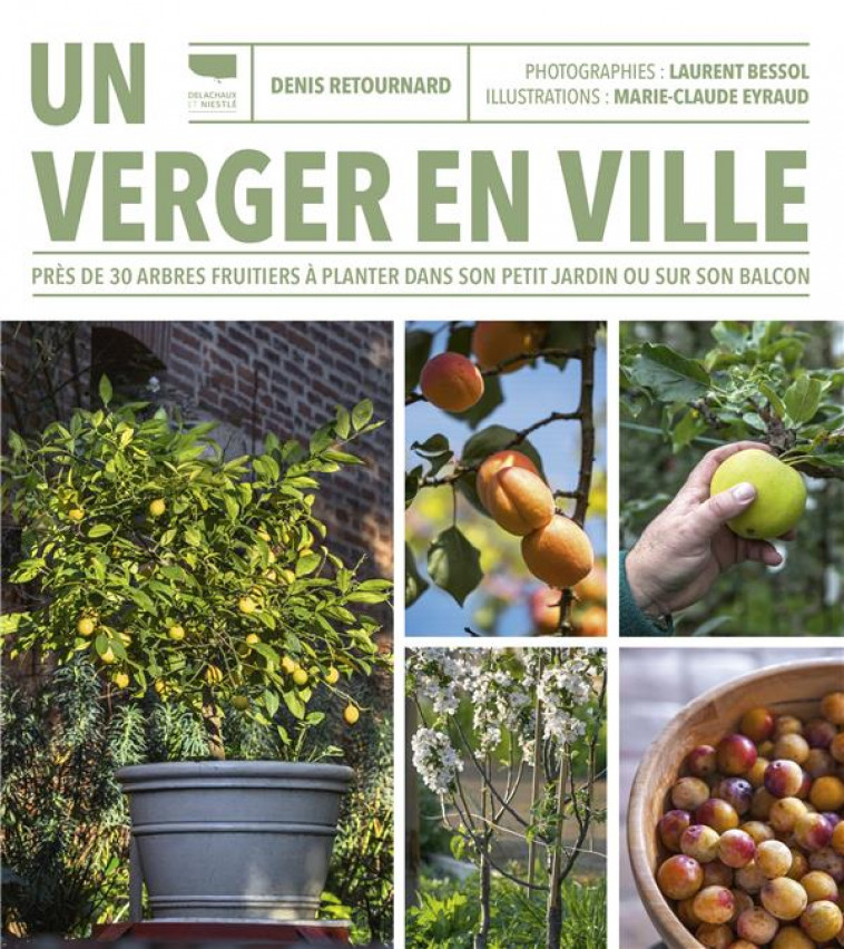 UN VERGER EN VILLE : PRES DE 30 ARBRES FRUITIERS A PLANTER DANS SON PETIT JARDIN OU SUR SON BALCON - RETOURNARD DENIS - DELACHAUX