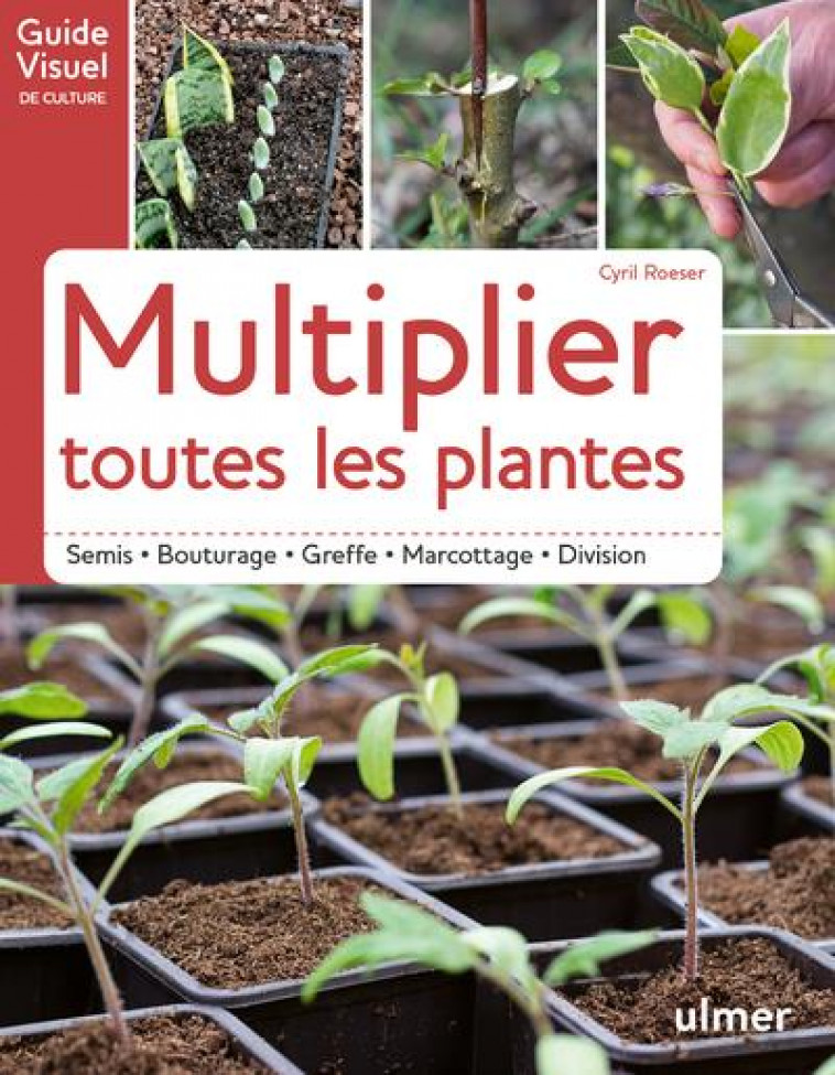 MULTIPLIER TOUTES LES PLANTES - ROESER CYRIL - ULMER