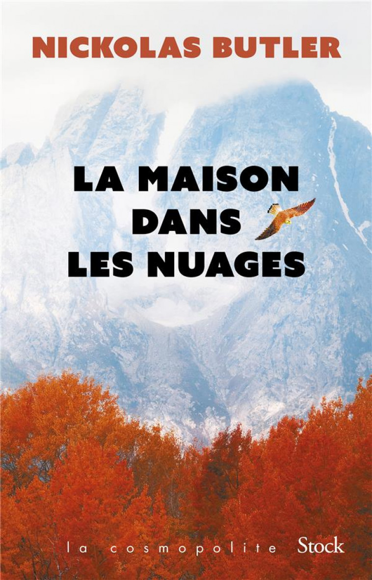 LA MAISON DANS LES NUAGES - BUTLER NICKOLAS - STOCK