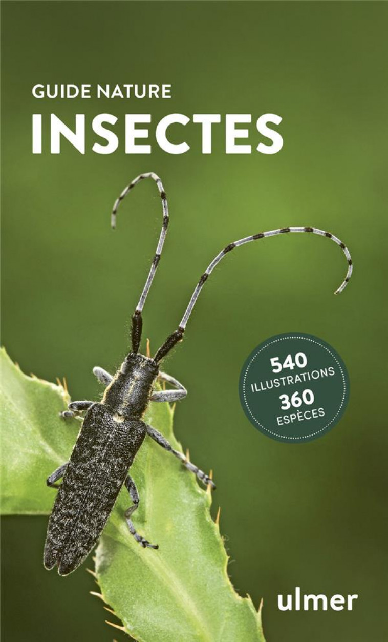 GUIDE NATURE INSECTES - BELLMANN HEIKO - ULMER