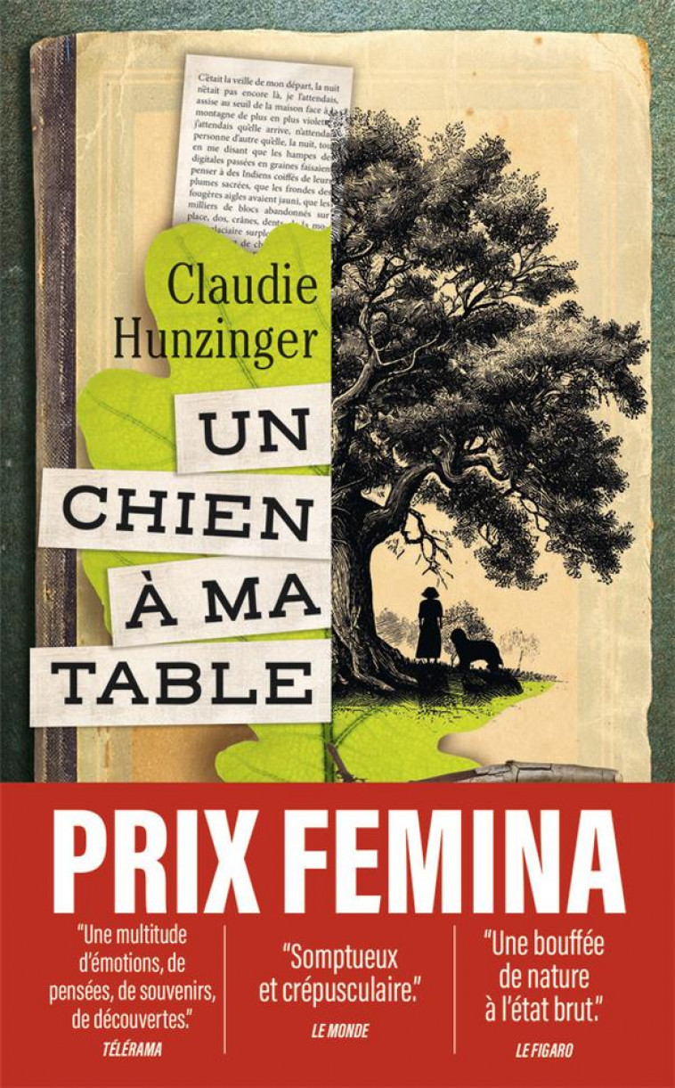 UN CHIEN A MA TABLE - HUNZINGER CLAUDIE - J'AI LU