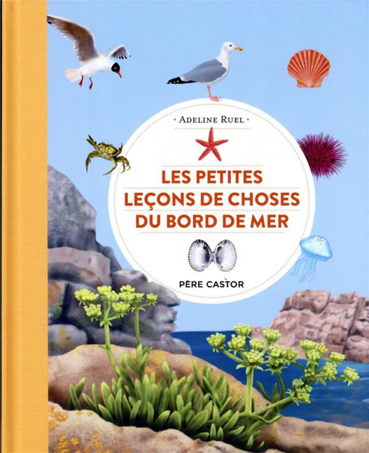 LES PETITES LECONS DE CHOSES DU BORD DE MER - RUEL ADELINE - FLAMMARION