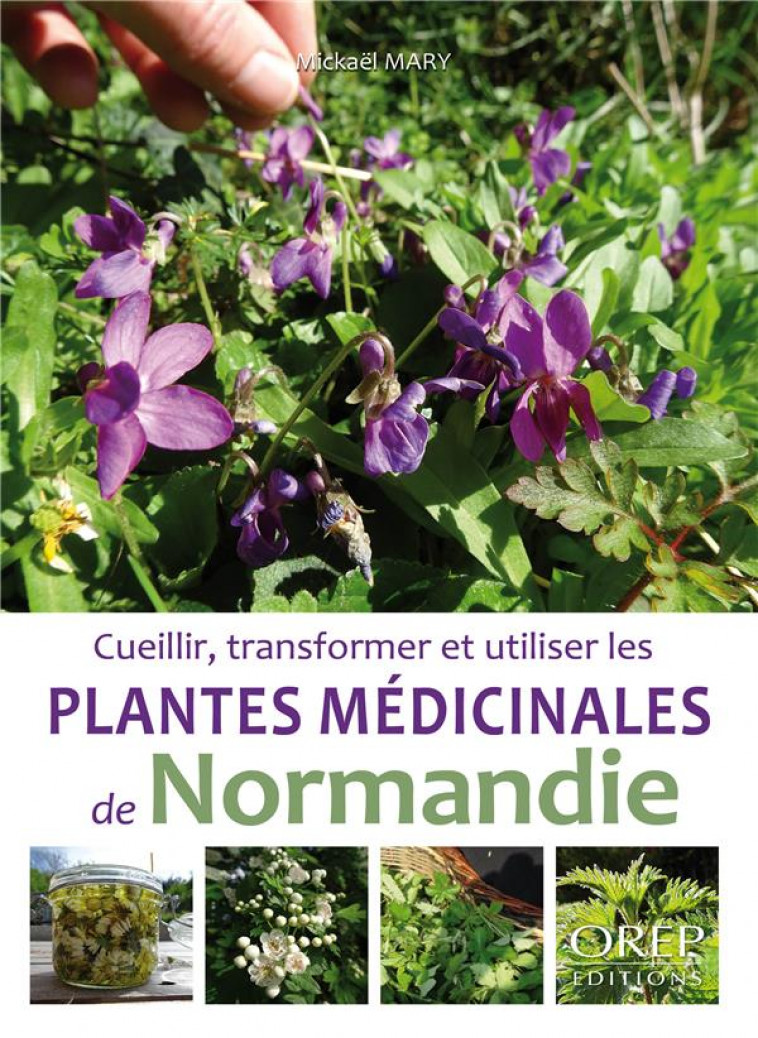 PLANTES MEDICINALES DE NORMANDIE - MARY MICKAEL - OREP