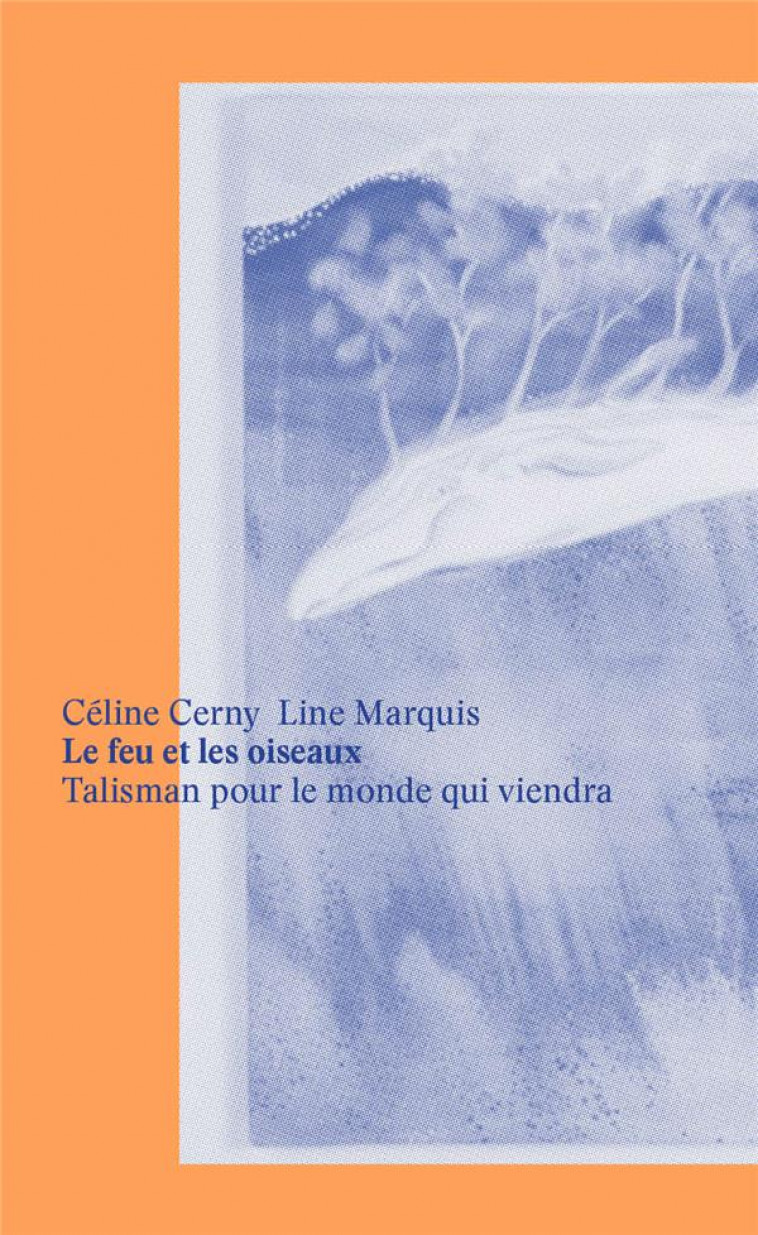 LE FEU ET LES OISEAUX - CERNY CELINE / MARQUIS LINE - ART FICTION