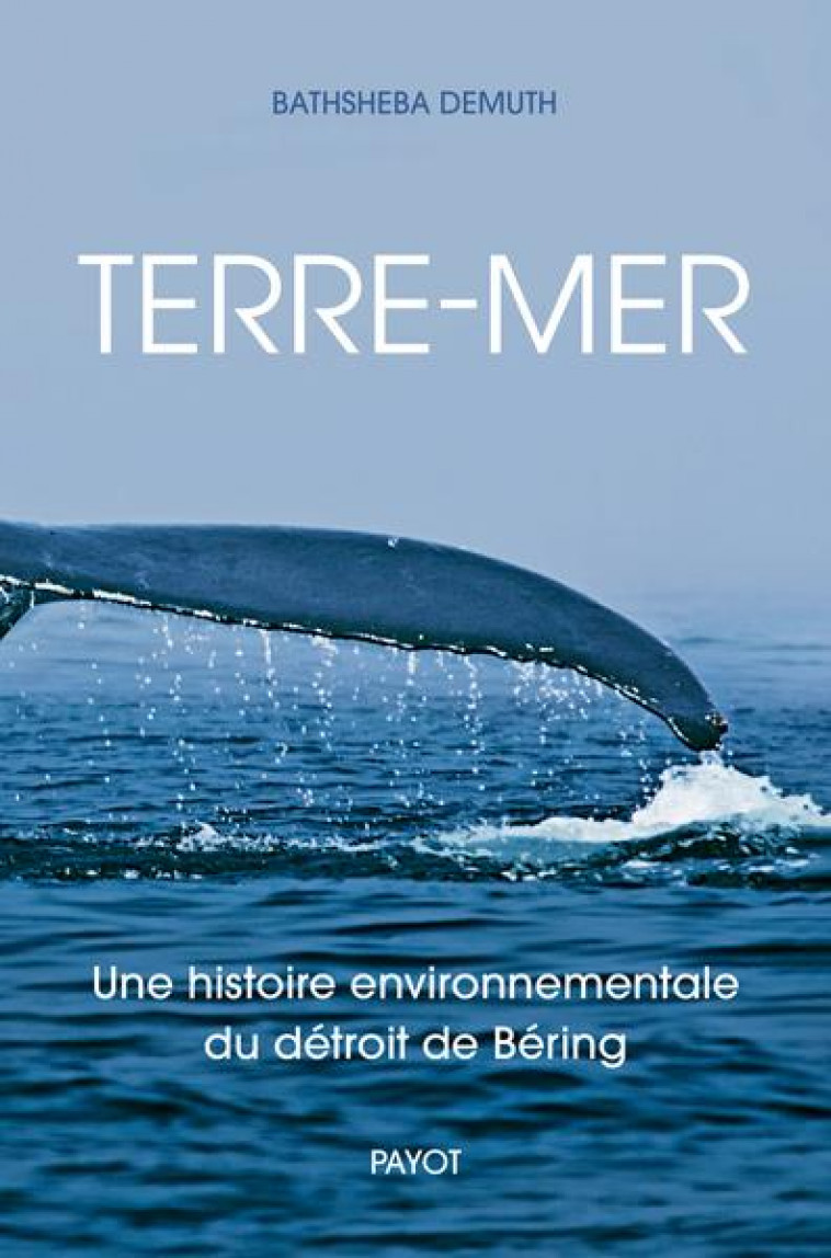 TERRE-MER - UNE HISTOIRE ENVIRONNEMENTALE DU DETROIT DE BEIRING - DEMUTH BATHSHEBA - PAYOT POCHE