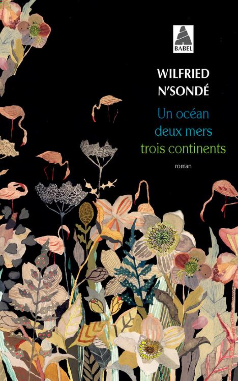 UN OCEAN, DEUX MERS, TROIS CONTINENTS - N-SONDE WILFRIED - ACTES SUD