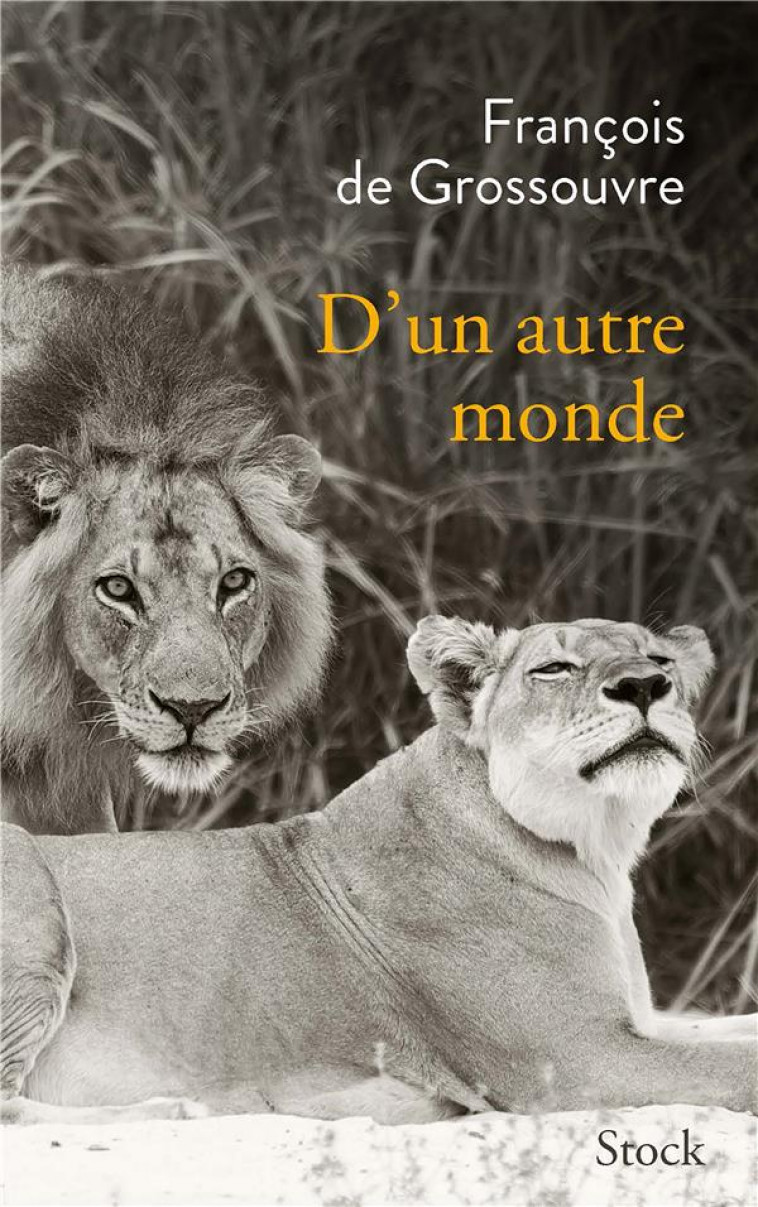 D-UN AUTRE MONDE - DE GROSSOUVRE F. - STOCK