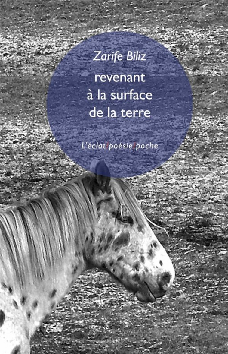 REVENANT A LA SURFACE DE LA TERRE - BILIZ/FARAZZI - ECLAT