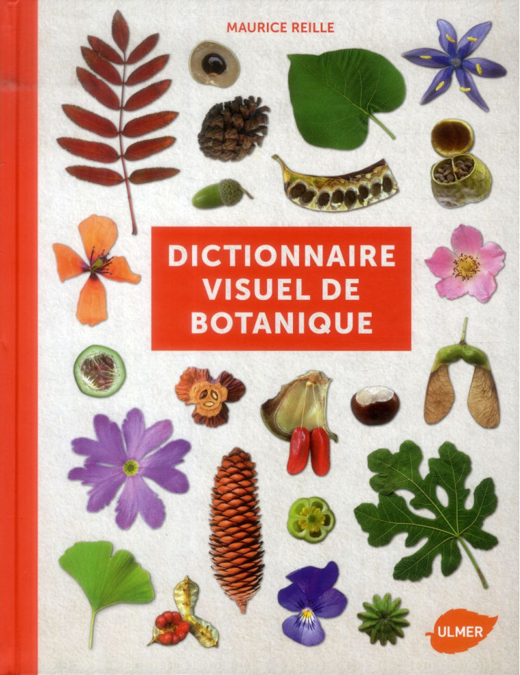 DICTIONNAIRE VISUEL DE BOTANIQUE - REILLE MAURICE - Ulmer