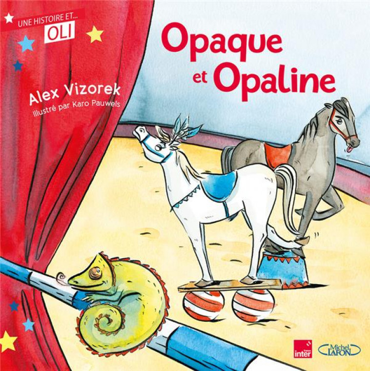 OLI - OPAQUE ET OPALINE - NOUVELLE EDITION - VIZOREK/PAUWELS - MICHEL LAFON