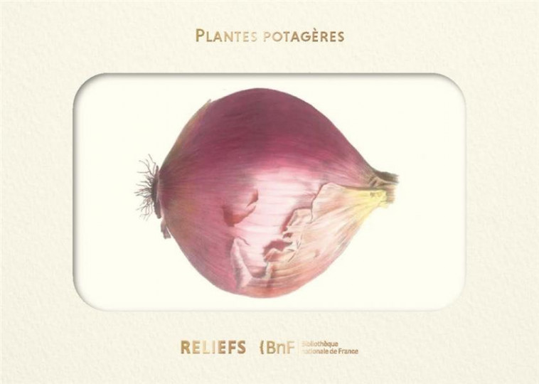 LIVRE D-IMAGES - PLANTES POTAGERES - CHAMPIN/COUTANCE - RELIEFS