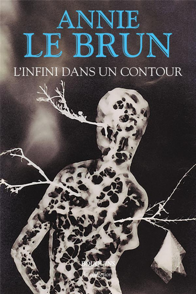 L-INFINI DANS UN CONTOUR - LE BRUN/SIEFFERT - BOUQUINS