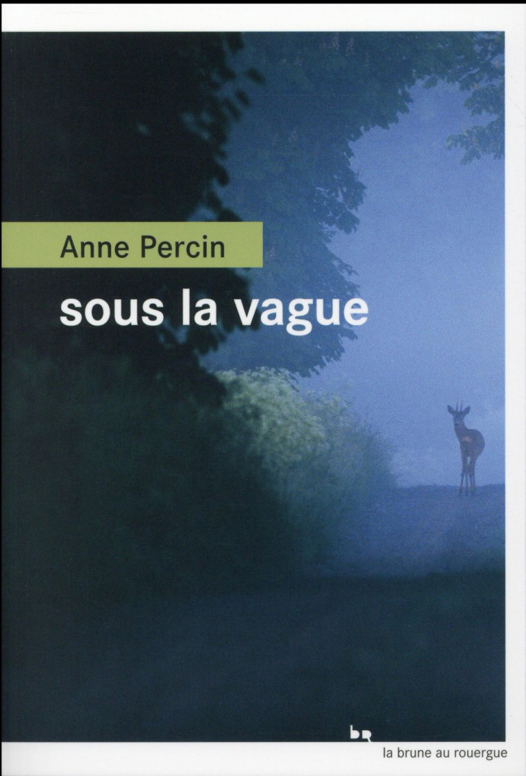 SOUS LA VAGUE - Percin Anne - Rouergue