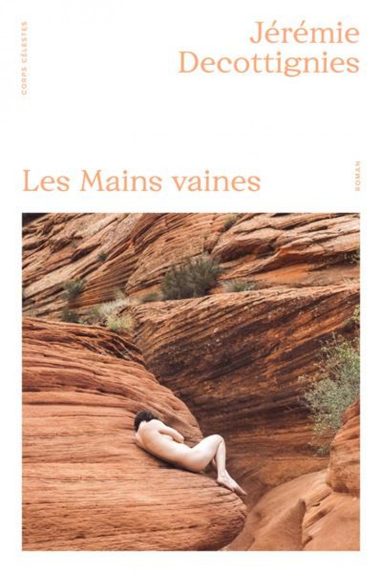 LES MAINS VAINES - DECOTTIGNIES JEREMIE - PLUME APP